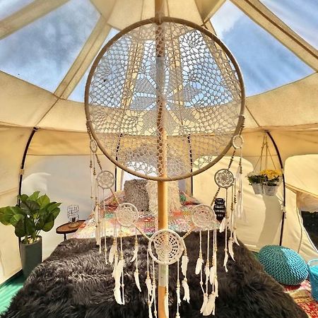 The Aries-A Stargazing, Luxury Glamping Tent Rogersville المظهر الخارجي الصورة