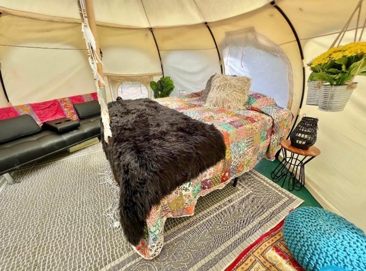 The Aries-A Stargazing, Luxury Glamping Tent Rogersville المظهر الخارجي الصورة